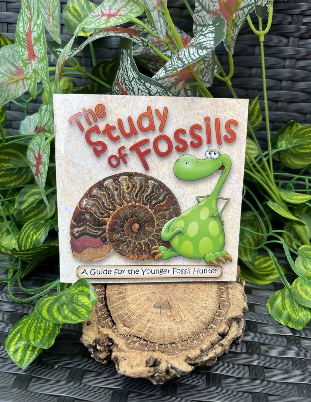 The Study of Fossils Booklet – Guide for Young Fossil Hunters