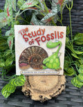 The Study of Fossils Booklet – Guide for Young Fossil Hunters