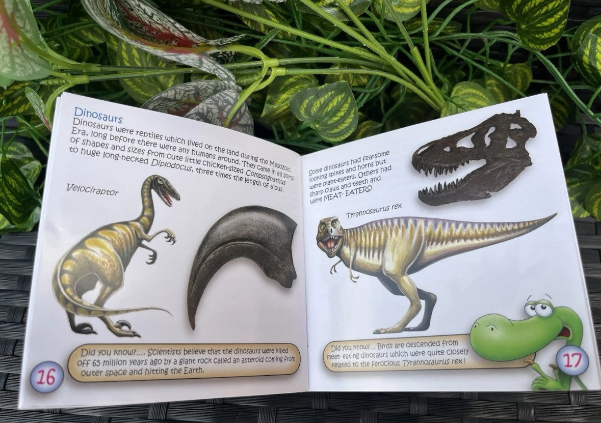 The Study of Fossils Booklet – Guide for Young Fossil Hunters