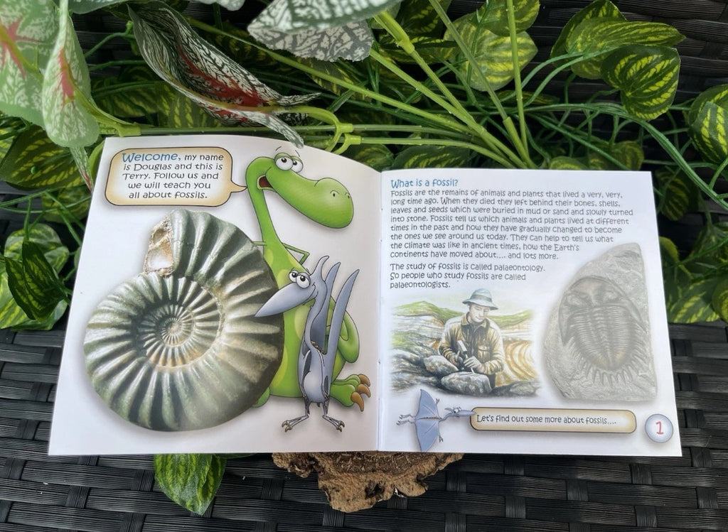 The Study of Fossils Booklet – Guide for Young Fossil Hunters