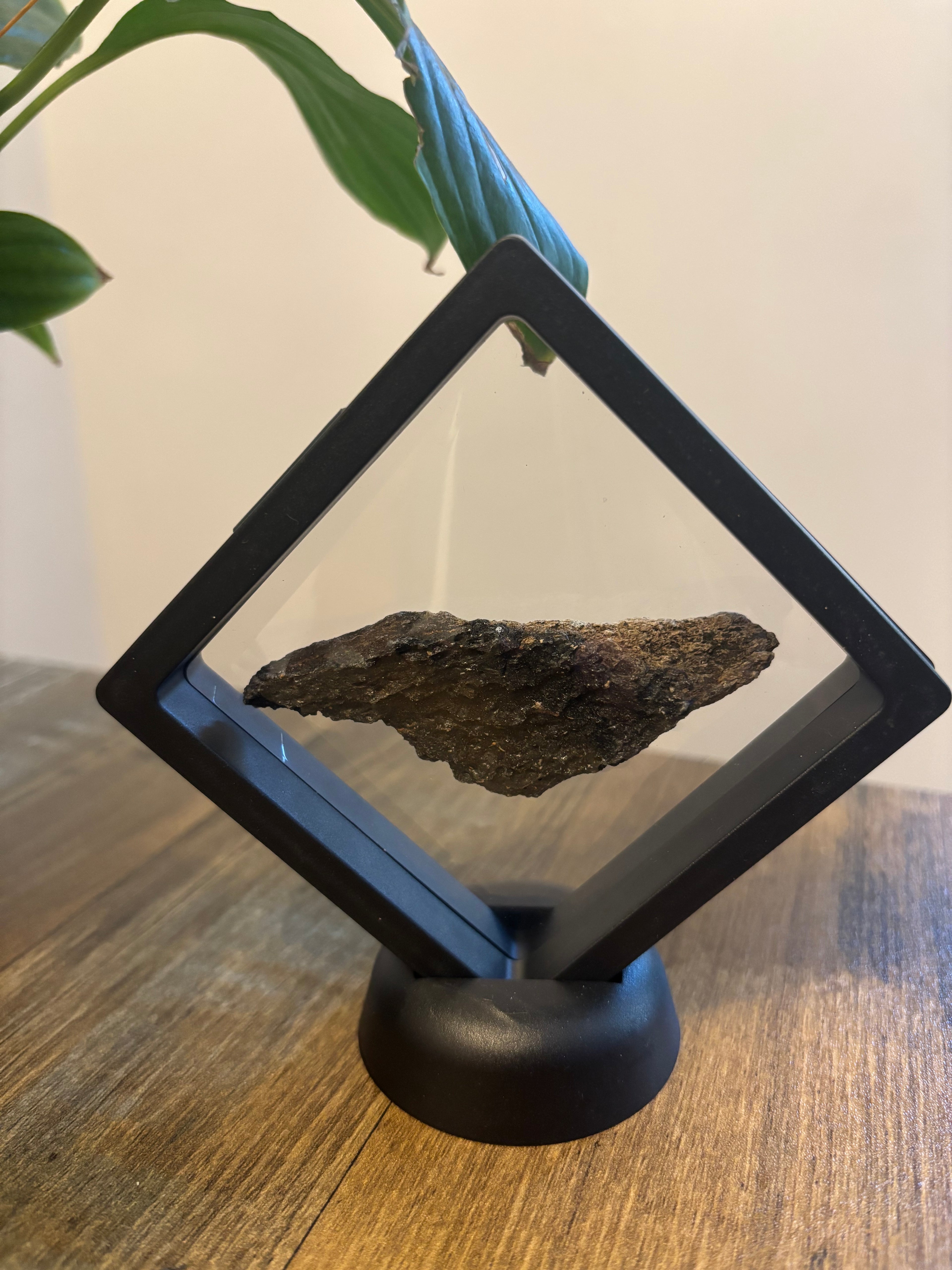 Woolly Mammoth Bone Fragment – 8cm Framed Fossil in Black Floating Frame