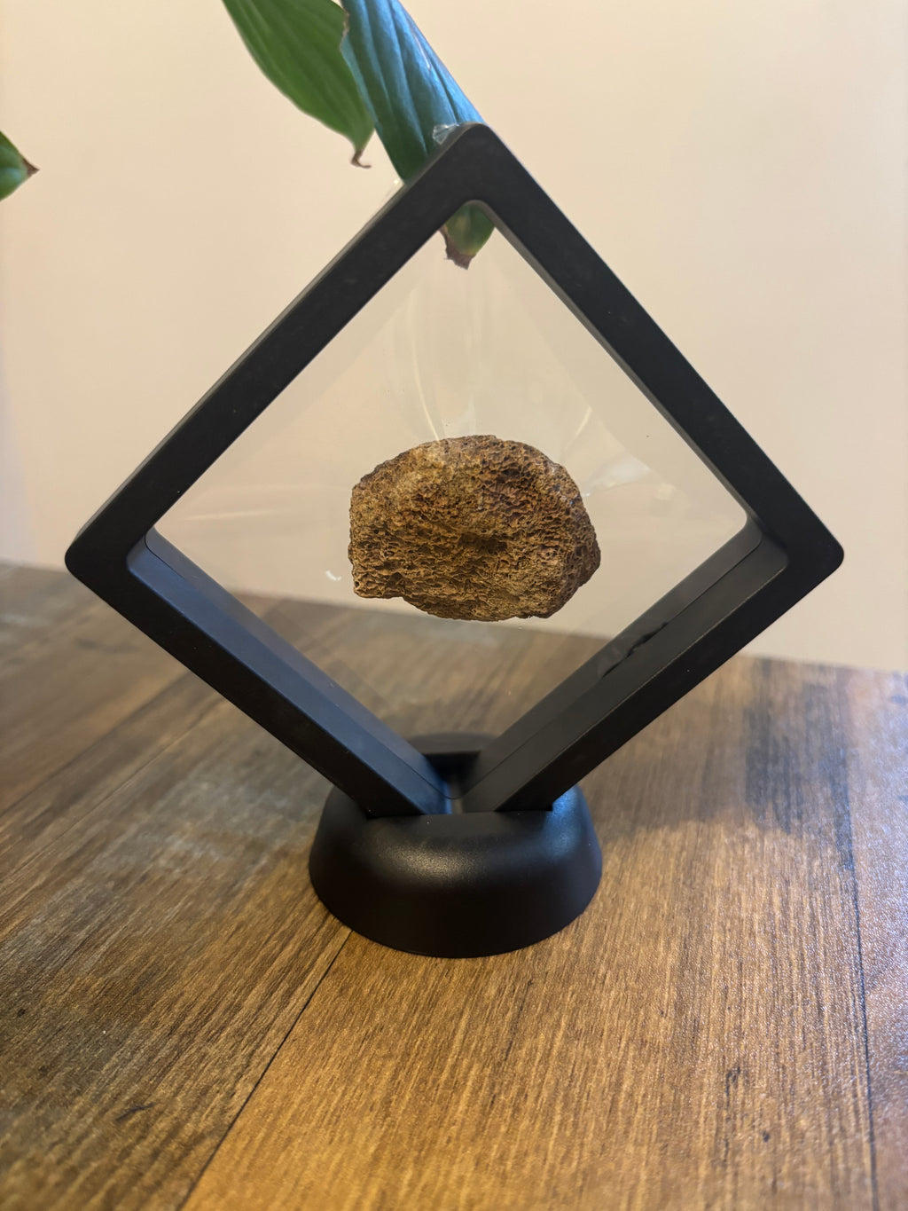 A black square display frame with a clear glass or acrylic panel, mounted on a round black base and shown against a wood-grain surface.