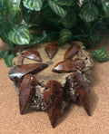 3 x Mahogany Obsidian Arrowheads - Modern - 3.5-4.5cm long