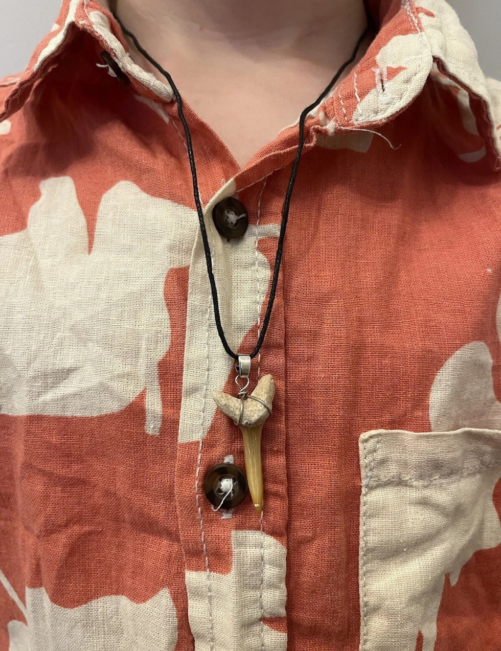 3 x Genuine Fossil Shark Tooth Pendants on Wax Cord Necklace